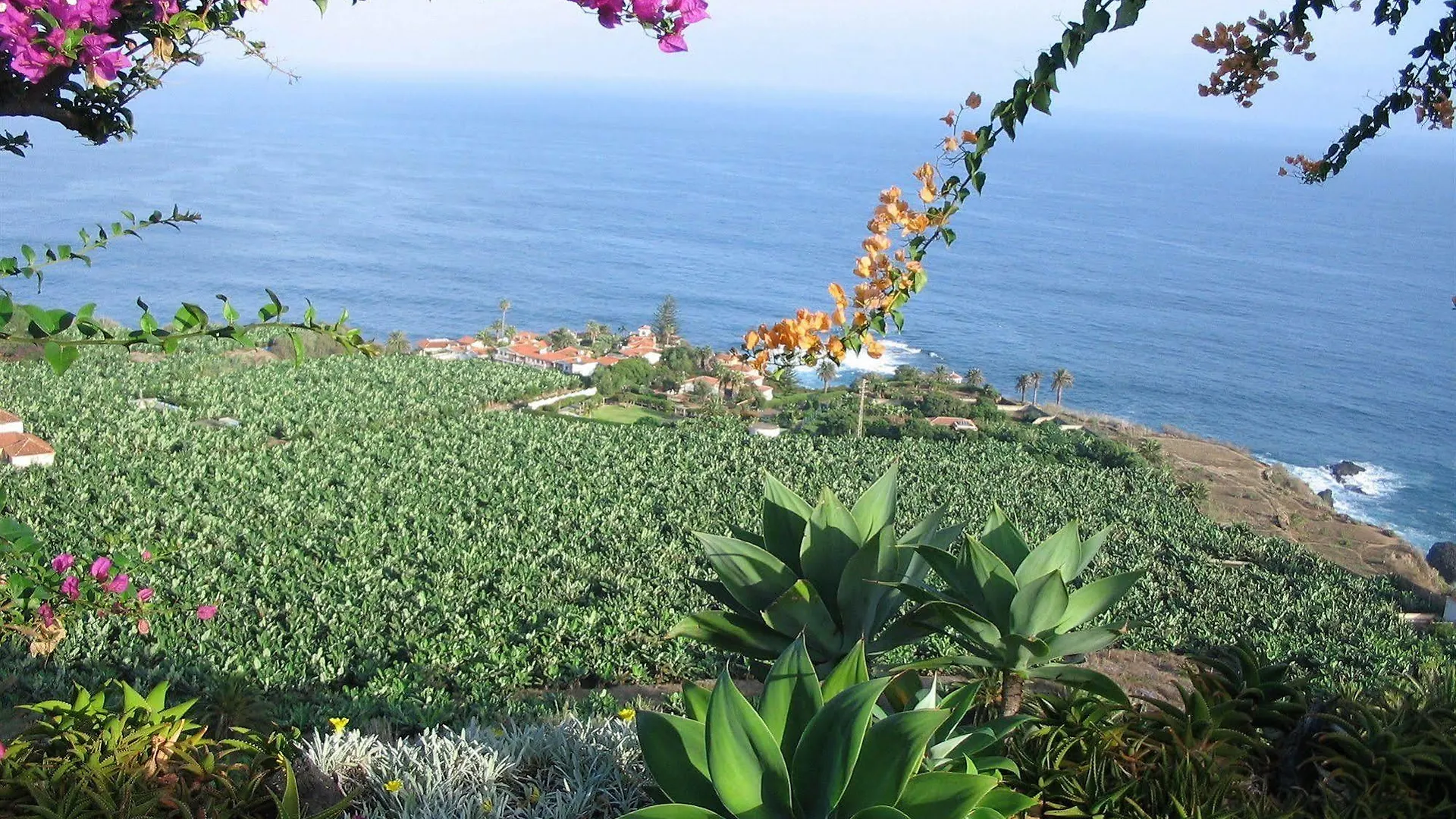 فندق شقة لوس رياليخوس  في Residencia San Pedro